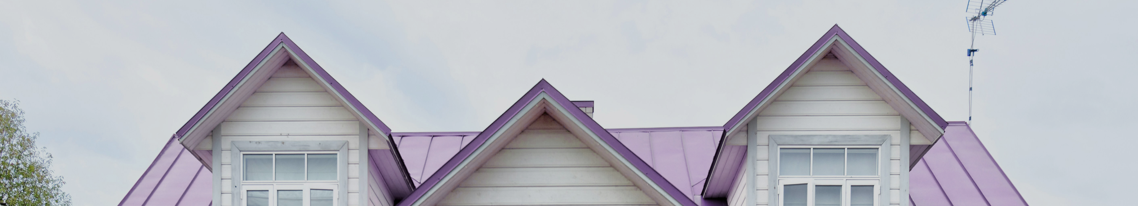 pink-house-roof